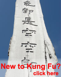 New To Kung Fu